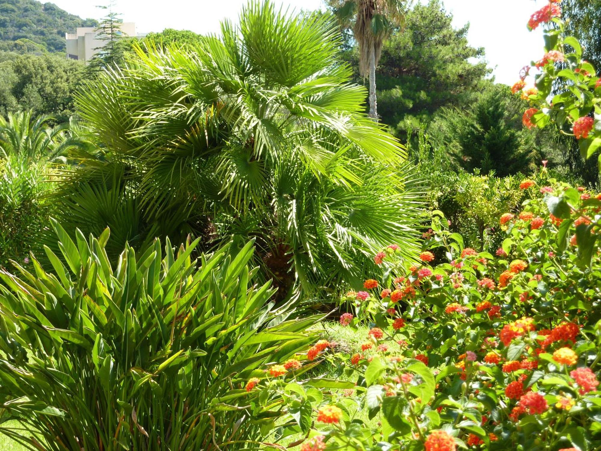 Hotel La Pinede Ajaccio  Exterior photo